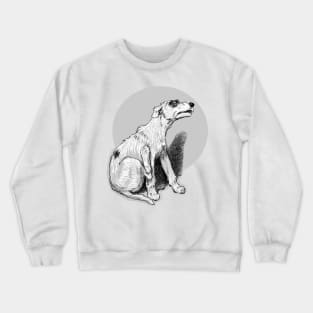 Dog with fleas cowering Crewneck Sweatshirt